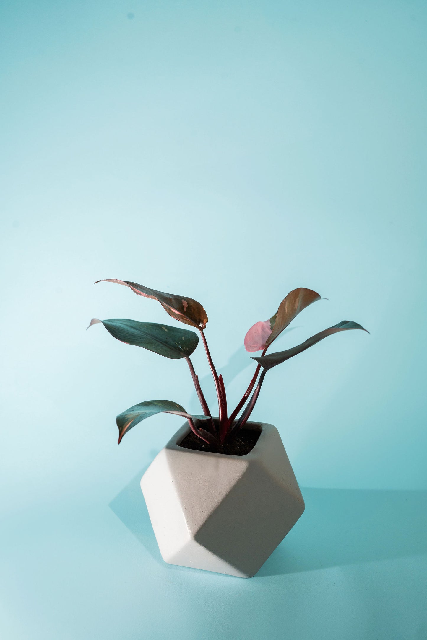 Small Faceted Cubic Grey Pot