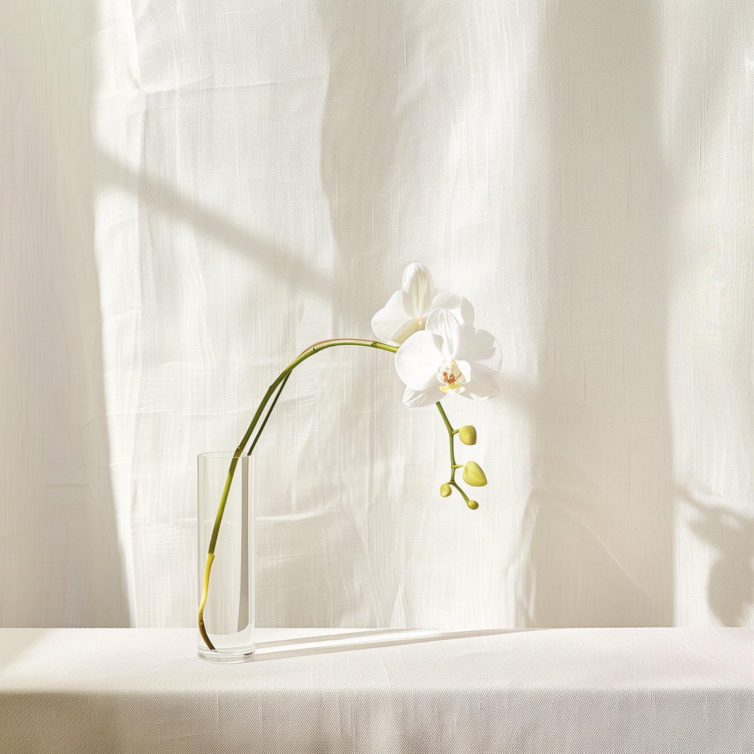 New Year, New You: Winter Plant Care Tips for Thriving Greenery