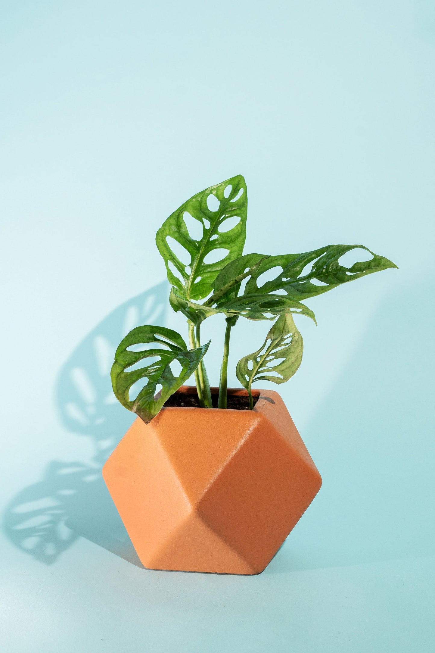 Small Faceted Cubic Terracotta Pot